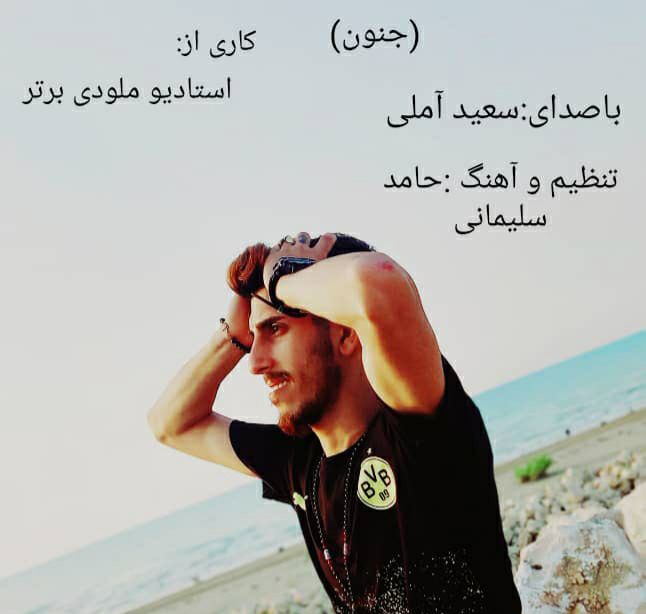 سعید آملی جنون